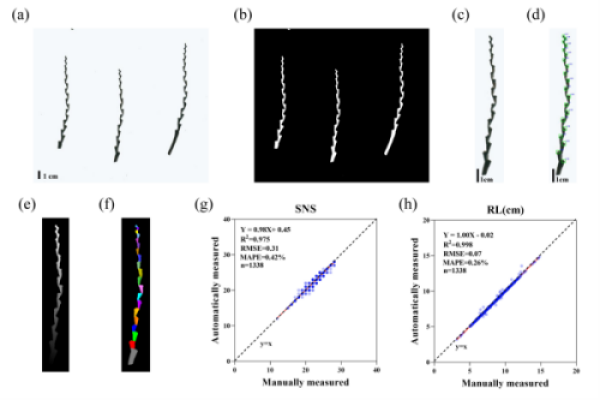U020260130532413817771.png