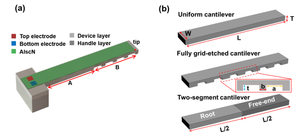 U020260609358850162728.png